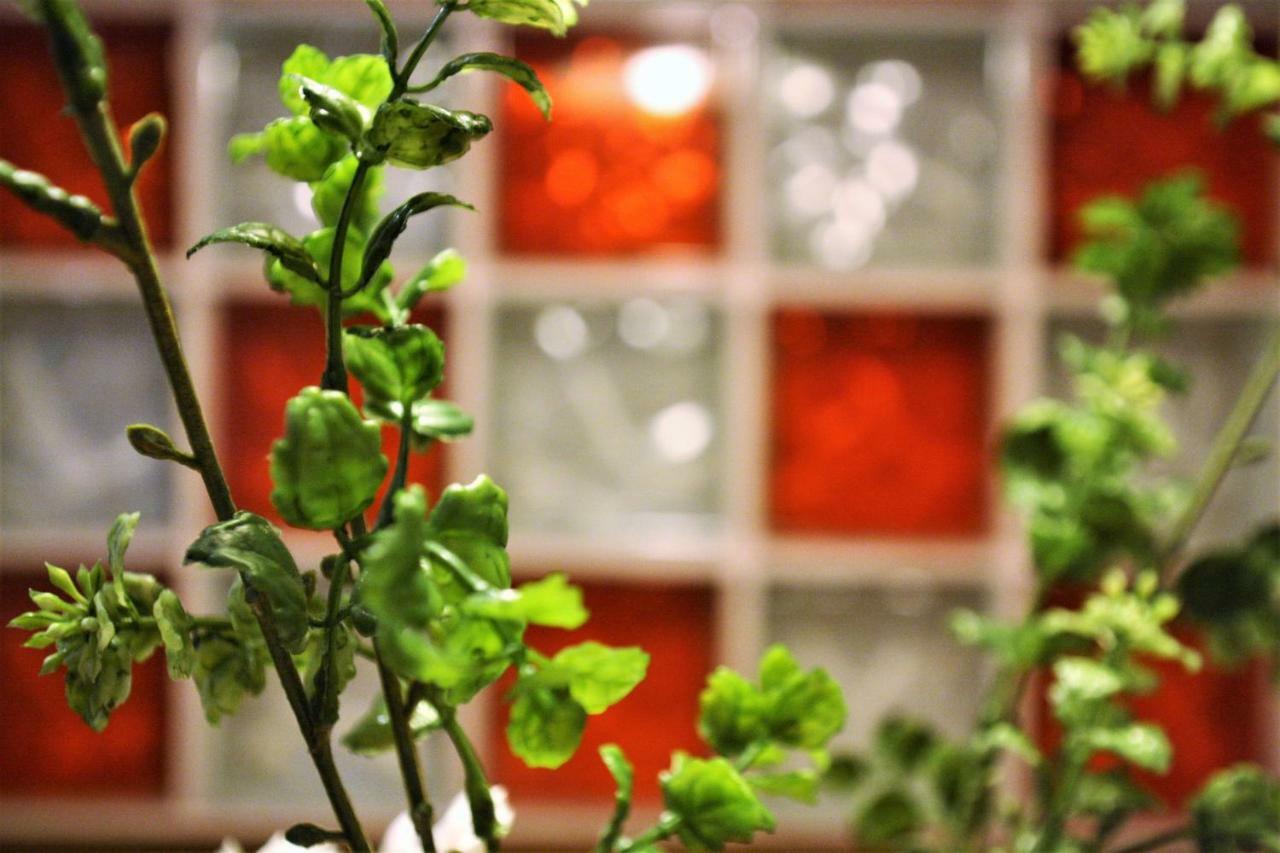 Apartamento El 31 De ビルバオ エクステリア 写真